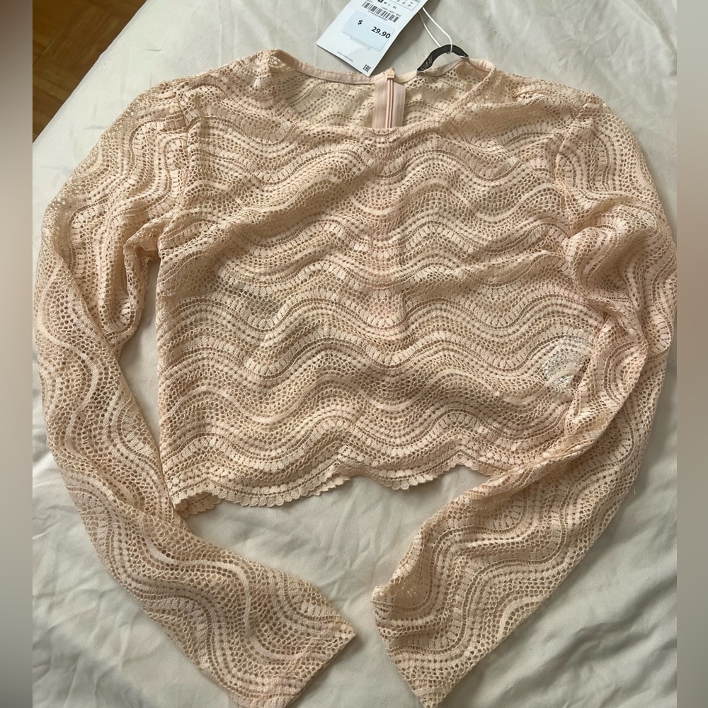 Zara Laser cut see-through crop top